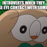 It's so awkward and you want to 
start a new life | INTROVERTS WHEN THEY MAKE EYE CONTACT WITH SOMEONE | image tagged in distressed rowlet,introvert | made w/ Imgflip meme maker