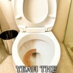 half cleaned toilet | SENATE BE LIKE; YEAH THE SWAMP IS CLEAN | image tagged in half cleaned toilet | made w/ Imgflip meme maker