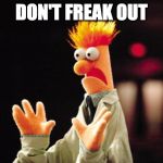 Beaker Freak Out | DON'T FREAK OUT | image tagged in beaker freak out | made w/ Imgflip meme maker