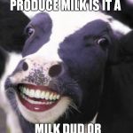 Laughing Cow | IF A COW DOSENT PRODUCE MILK IS IT A; MILK DUD OR UDDER FAILURE | image tagged in laughing cow | made w/ Imgflip meme maker