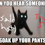 Evil Cat | WHEN YOU HEAR SOMEONE SAY; "SOAK UP YOUR PANTS" | image tagged in evil cat,true story,my face when,cats | made w/ Imgflip meme maker