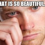 Emotional guy | THAT IS SO BEAUTIFUL..... | image tagged in emotional guy | made w/ Imgflip meme maker