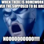 WHEN THERE IS HOMEWORK OVER THE SUPPOSED TO BE BREAK; NOOOOOOOOOO!!!! | image tagged in funny memes | made w/ Imgflip meme maker