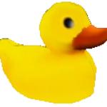 Rubber Anomalous Duck