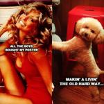 Liz Lanning, Farrah Fawcett, Dog