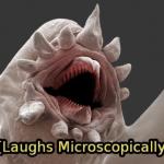laughs microscopically