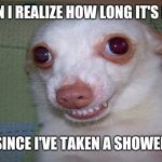 embarrassed grin | WHEN I REALIZE HOW LONG IT'S BEEN; SINCE I'VE TAKEN A SHOWER | image tagged in embarrassed grin | made w/ Imgflip meme maker