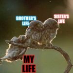 'Nuff said | SISTER'S LIFE; BROTHER'S LIFE; MY LIFE | image tagged in owl slip,memes,brothers,sisters,life sucks | made w/ Imgflip meme maker