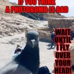 BOMBS AWAY!!! | WAIT UNTIL I FLY OVER YOUR HEAD! IF YOU THINK A PHOTOBOMB IS BAD | image tagged in photobomb pigeon,memes,pooping,toilet humor,lowbrow | made w/ Imgflip meme maker