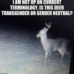 What did the game camera capture? | I AM NOT UP ON CURRENT TERMINOLOGY, IS THIS DEER TRANSGENDER OR GENDER NEUTRAL? | image tagged in gender neutral deer,transgender deer,there are more than two deer genders,confused,what are you,how should i address you | made w/ Imgflip meme maker