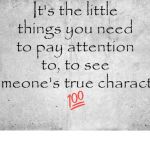 The Little Things | It's the little things you need to pay attention to, to see someone's true character; COVELL BELLAMY III | image tagged in the little things | made w/ Imgflip meme maker