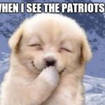 Hahaha | ME WHEN I SEE THE PATRIOTS LOSE; JMR | image tagged in laughing dog,nfl memes,football,new england patriots | made w/ Imgflip meme maker