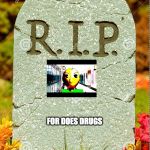 R.I.P. sm | FOR DOES DRUGS | image tagged in rip sm | made w/ Imgflip meme maker