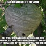 Wasp Hive | BAD RANDOM LIFE TIP #101:; THE WHOLE STIGMA ABOUT KILLER BEES HAS BEEN OVERBLOWN. IT'S OKAY TO APPROACH THEIR NEST AND GATHER HONEY JUST AS LONG AS YOU TELL THEM WHAT YOU ARE DOING. | image tagged in wasp hive | made w/ Imgflip meme maker