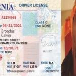 Life Hack High On Drivers License