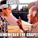 Karate Kid | GRAPES................ REMEMEBER THE GRAPES | image tagged in karate kid | made w/ Imgflip meme maker
