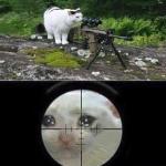 Sniper cat aim crying cat meme