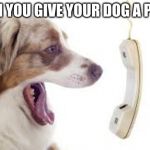 WHEN YOU GIVE YOUR DOG A PHONE | image tagged in dog with phone | made w/ Imgflip meme maker