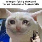 Sad cat with gun | When your fighting in ww2 and you see your crush on the enemy side | image tagged in sad cat with gun | made w/ Imgflip meme maker