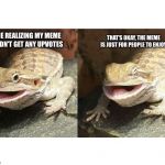 Butter the bearded dragon | ME REALIZING MY MEME DIDN'T GET ANY UPVOTES; THAT'S OKAY, THE MEME IS JUST FOR PEOPLE TO ENJOY | image tagged in butter the bearded dragon | made w/ Imgflip meme maker