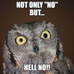 Had it with... | NOT ONLY "NO"
BUT... HELL NO!! | image tagged in incredulous,miffed,pissed off | made w/ Imgflip meme maker