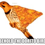 Dorito Bird | BEHOLD THE DORITO BIRD | image tagged in dorito bird | made w/ Imgflip meme maker