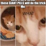 The WHAT cat | Doctor: you have a sore throat these GIANT PILLS will do the trick
Me: | image tagged in the what cat | made w/ Imgflip meme maker