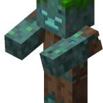 Minecraft drowned