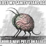 lost mind | I LOST MY SANITY YEARS AGO. I SHOULD HAVE PUT IT ON A LEASH. | image tagged in lost mind | made w/ Imgflip meme maker