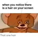 That one hair