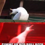 Screamin seagull | UUUUUUUGH; GIMME YO RED BULL BEER | image tagged in screamin seagull | made w/ Imgflip meme maker