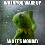 sad kermit at window | WHEN YOU WAKE UP; AND IT'S MONDAY | image tagged in sad kermit at window | made w/ Imgflip meme maker