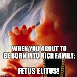Fetus | WHEN YOU ABOUT TO BE BORN INTO RICH FAMILY: FETUS ELITUS! | image tagged in fetus | made w/ Imgflip meme maker