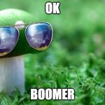 Deal With it Mushroom | OK; BOOMER | image tagged in deal with it mushroom | made w/ Imgflip meme maker