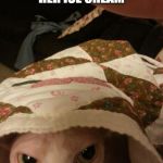 Sneaky Tofu | I SHALL HAVE HER ICE CREAM; WITH THE CLOAK OF INVISIBILITY | image tagged in sneaky tofu | made w/ Imgflip meme maker