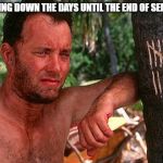 Tom Hanks Castaway tree | COUNTING DOWN THE DAYS UNTIL THE END OF SEMESTER | image tagged in tom hanks castaway tree | made w/ Imgflip meme maker
