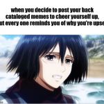 Bittersweet smile Mikasa | when you decide to post your back cataloged memes to cheer yourself up, but every one reminds you of why you're upset: | image tagged in bittersweet smile mikasa | made w/ Imgflip meme maker