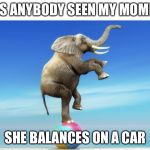 Mommy | HAS ANYBODY SEEN MY MOMMY; SHE BALANCES ON A CAR | image tagged in funny,memes | made w/ Imgflip meme maker