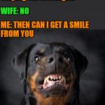 She gets angry, she stays angry for a while. | Me: Are you mad at me for 
staying out last night? WIFE: NO; ME: THEN CAN I GET A SMILE 
FROM YOU | image tagged in dog growl,angry wife | made w/ Imgflip meme maker