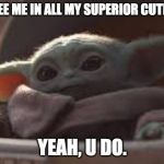 see here | Y'ALL SEE ME IN ALL MY SUPERIOR CUTENESS? YEAH, U DO. | image tagged in see here | made w/ Imgflip meme maker