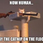 Cat with gun | NOW HUMAN... LAY THE CATNIP ON THE FLOOR | image tagged in cat with gun | made w/ Imgflip meme maker