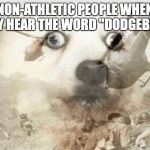 PTSD dog | NON-ATHLETIC PEOPLE WHEN THEY HEAR THE WORD "DODGEBALL" | image tagged in ptsd dog | made w/ Imgflip meme maker