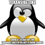 Confused Penguin | TEXANS BE LIKE; SHOULD I CLEAN OUT THE TORNADO SHELTER OR BUY A SNOW SHOVEL | image tagged in confused penguin | made w/ Imgflip meme maker