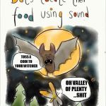 Bats locate their food using sound | TOSS A COIN TO YOUR WITCHER; OH VALLEY OF PLENTY         ...SHIT | image tagged in bats locate their food using sound | made w/ Imgflip meme maker