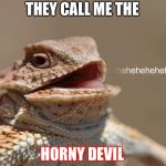 laughing lizard | THEY CALL ME THE; HORNY DEVIL | image tagged in laughing lizard | made w/ Imgflip meme maker