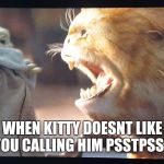 Baby yoda and kitty | WHEN KITTY DOESNT LIKE YOU CALLING HIM PSSTPSST | image tagged in baby yoda and kitty | made w/ Imgflip meme maker