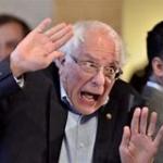 crazy bernie