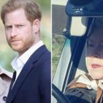 Sussexes v. The Queen