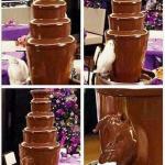 Parrot, Chocolate Love