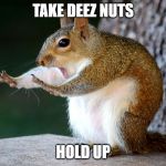 Hold Up Squirrel | TAKE DEEZ NUTS; HOLD UP | image tagged in hold up squirrel | made w/ Imgflip meme maker